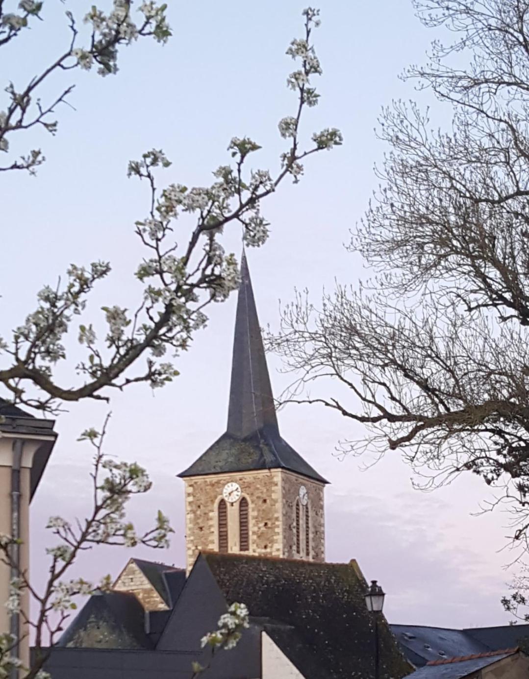 Gite Angers Proche Briollay Extérieur photo