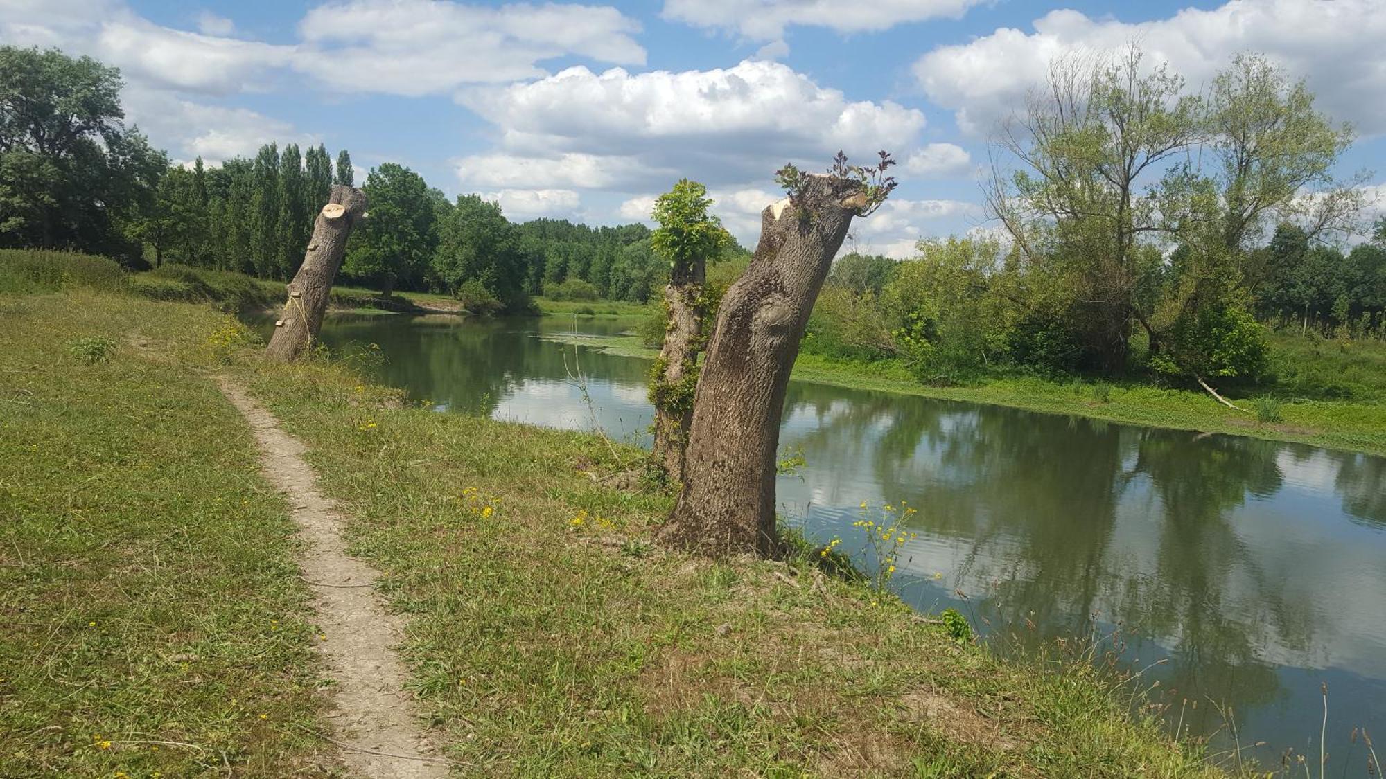 Gite Angers Proche Briollay Extérieur photo